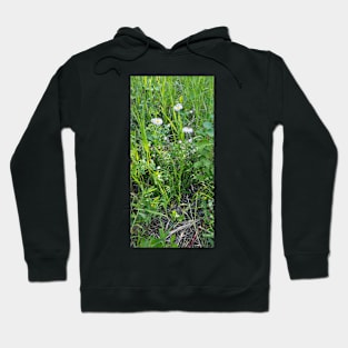 Fleabane Hoodie